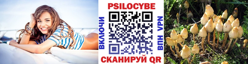 Галлюциногенные грибы Cubensis  Венёв 