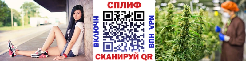 Канабис MAZAR хочу наркоту Венёв